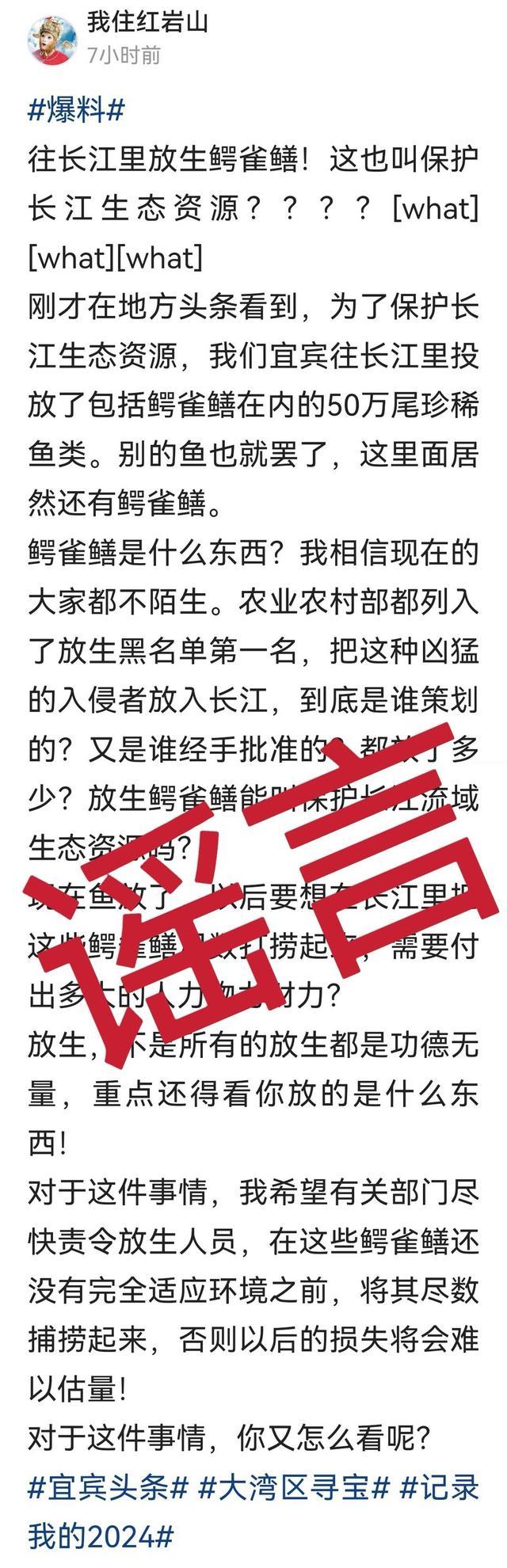 往长江里放生鳄雀鳝？四川宜宾官方回应：谣言，放流的是长江鲟等珍稀鱼类