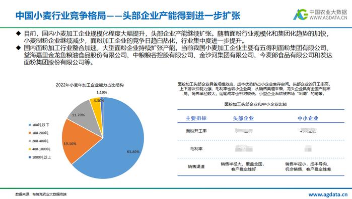 2023年中国小麦产业研究报告