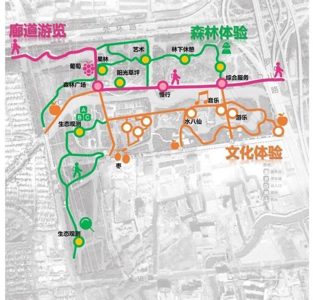 花开浦东｜这座上海外环绿带上的公园完成改造对外开放，邀你尽享森林游憩