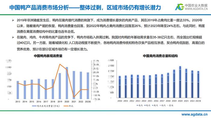 2023年中国鸭产业研究报告