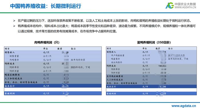 2023年中国鸭产业研究报告