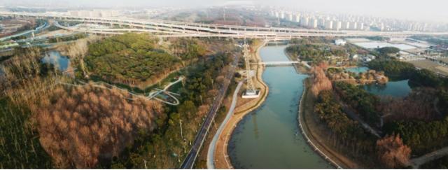 花开浦东｜这座上海外环绿带上的公园完成改造对外开放，邀你尽享森林游憩