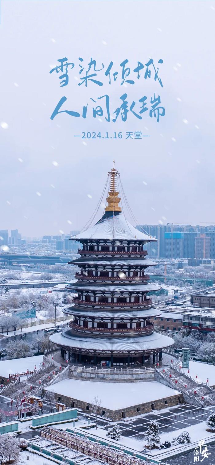 【洛阳·早安】雪染倾城，人间承瑞