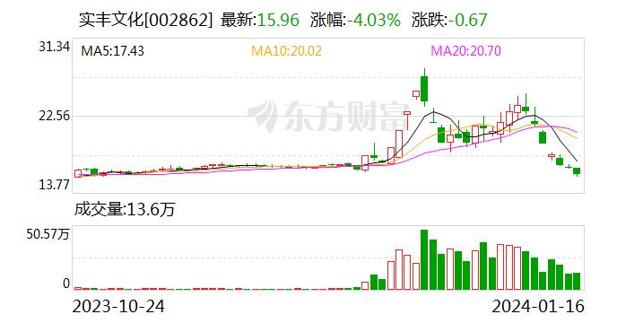 实丰文化：公司游戏业务营收占比最大来源于国内