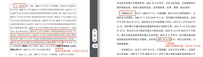 合规性与透明度考验：深度剖析力高新能与金润股份招股书差异，还原董事真实职场轨迹，信披真实性是否在合规边缘行走？