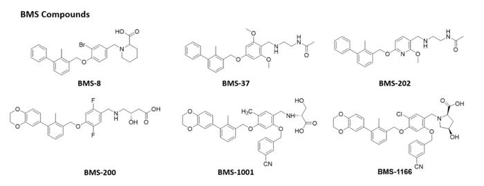 靶向PD-1/PD-L1小分子药物的研究进展