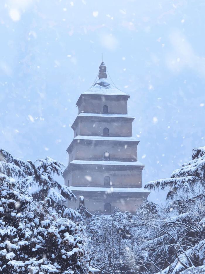 下雪天的曲江浪漫又出片 美到“犯规”