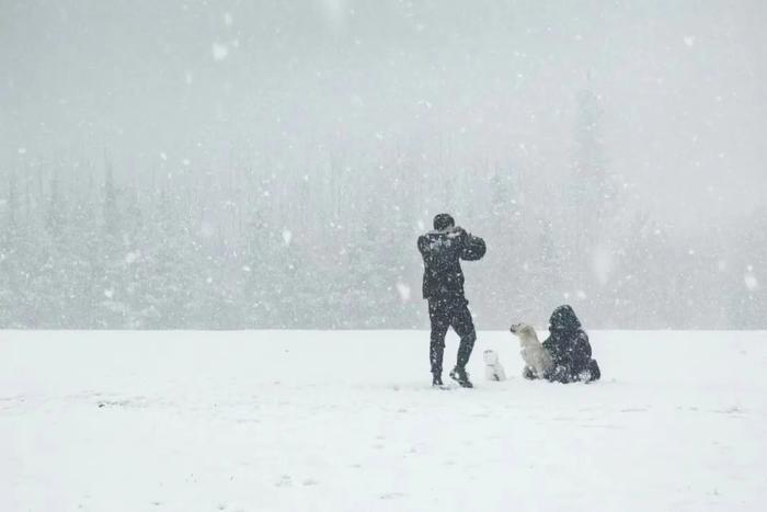 下雪天的曲江浪漫又出片 美到“犯规”