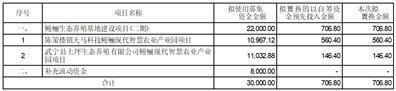 证券代码：603668    证券简称：天马科技   公告编号：2024-010