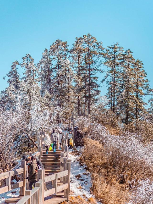 大降温！西岭雪山即将迎来最美雪景