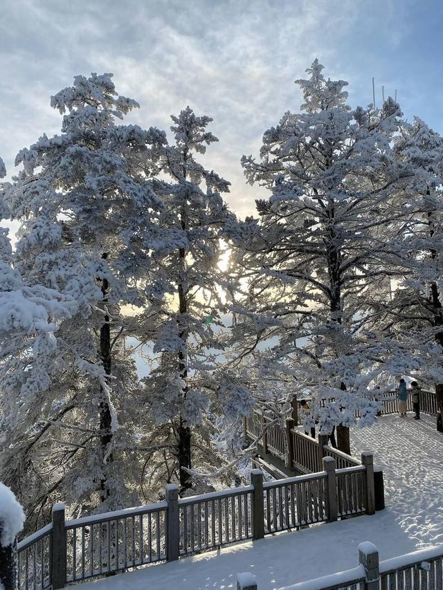 大降温！西岭雪山即将迎来最美雪景