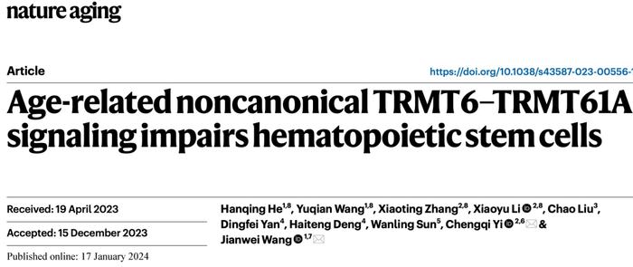 Nature Aging | 北京大学伊成器/王建伟报道m1A修饰酶在调控造血干细胞衰老过程中的新机制