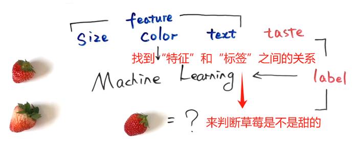 人工智能基础：第八话 “特征”、“过拟合”、“泛化”