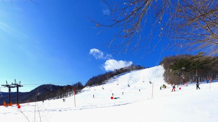 春节带上家人去体验温泉、列车、雪景 感受日本浪漫的冬天