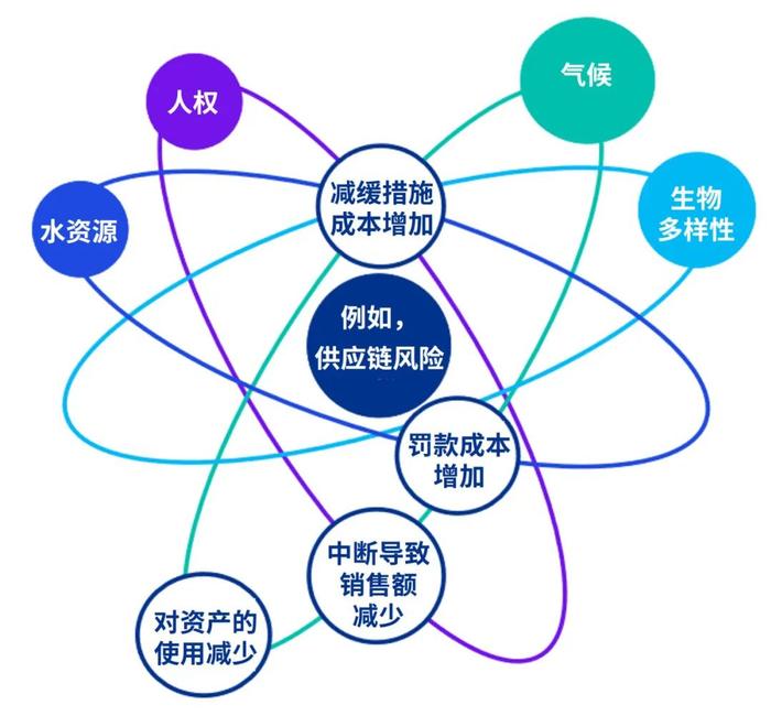 毕马威ISSB准则专题研究系列：列报（上篇）