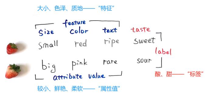 人工智能基础：第八话 “特征”、“过拟合”、“泛化”