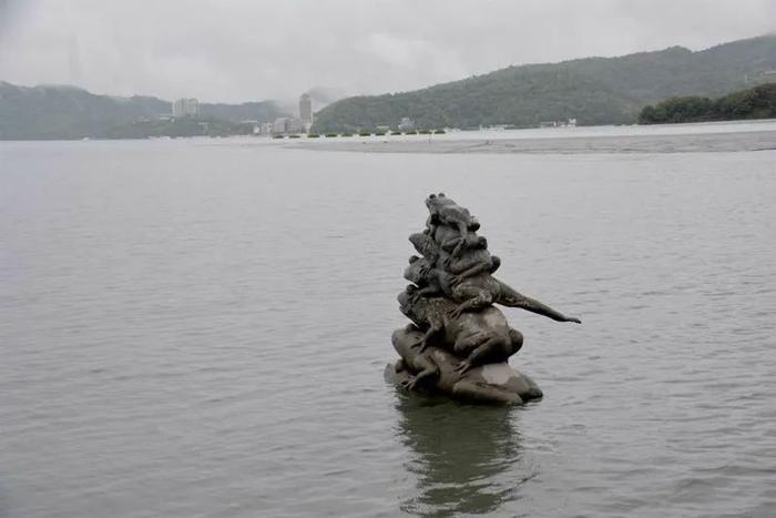 大地震前兆？日月潭百尾台湾鲷“浮水面齐探头”南投县府回应