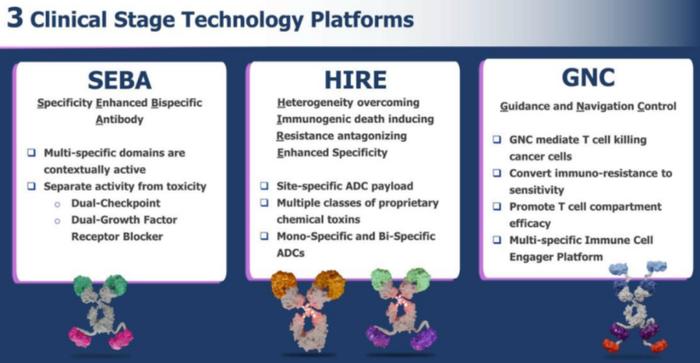 JPM2024深度分析-ADC | 全球哪些药企2024年重金押注？如何布局？附PPT解析