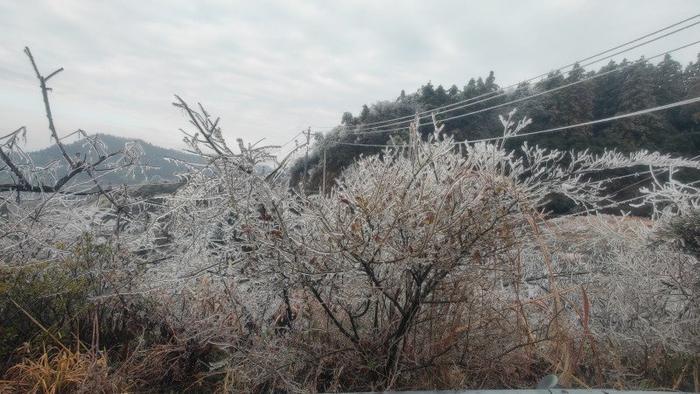 宁乡西部山区开始飘雪 各部门积极防范应对低温雨雪冰冻天气