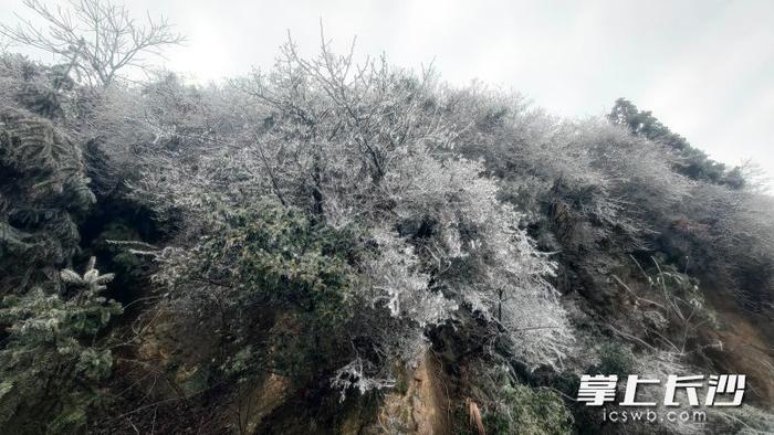 宁乡西部山区开始飘雪 各部门积极防范应对低温雨雪冰冻天气