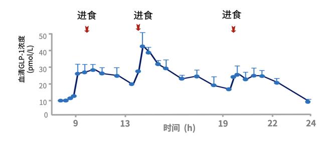 GLP-1减肥药实现国产，一天三针、一周一针有何差别？