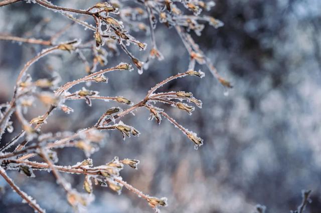 今日有雪，气温在冰点附近徘徊，大部分地区有道路结冰可能！安全提示→