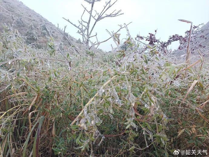 广东下雪了！中山启动防冻IV级应急响应，应急避难场所开放