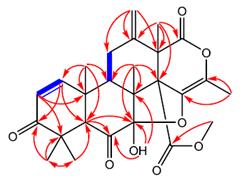 小分子化合物结构确证相关技术要求和经验总结