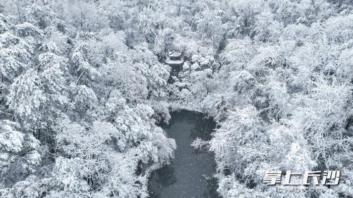 航拍 | 高清壁纸！雪中长沙如诗画