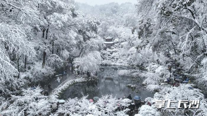 航拍 | 高清壁纸！雪中长沙如诗画