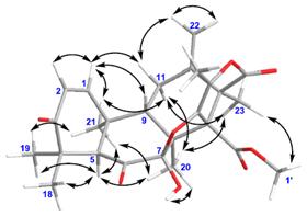 小分子化合物结构确证相关技术要求和经验总结