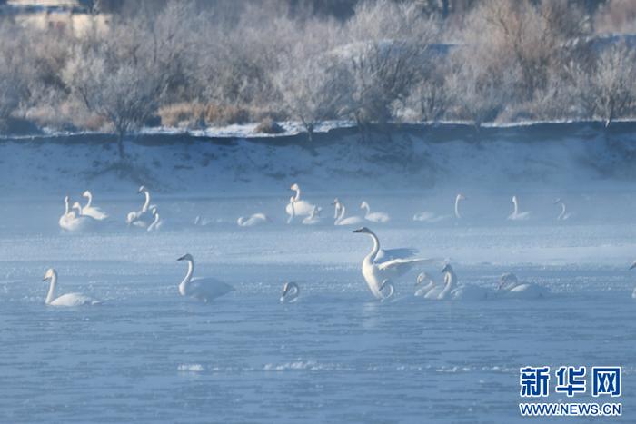 甘肃张掖：黑河湿地日出如画