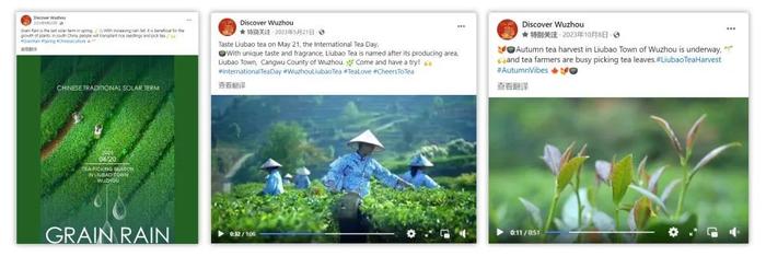 梧现精彩 尽在梧州丨 “Discover Wuzhou”海外社交媒体账号圈粉10万