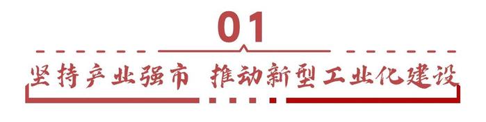 做大做强！肇庆将围绕这些产业继续干→