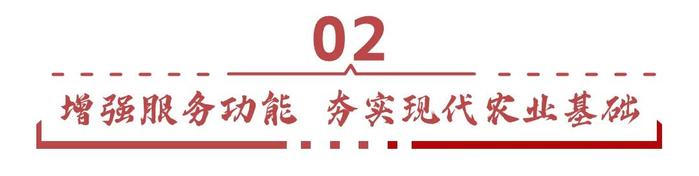 做大做强！肇庆将围绕这些产业继续干→