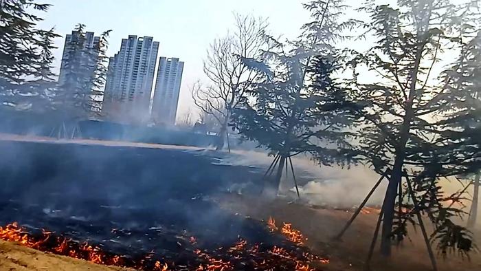 生态廊道千余平方草坪着火，交警和一群热心市民勇救火