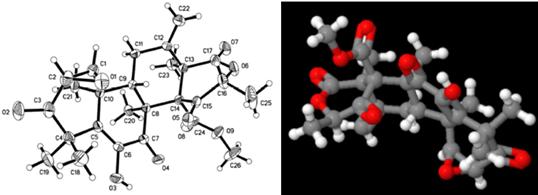 小分子化合物结构确证相关技术要求和经验总结