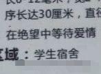 “怎么做菜会惹怒全国人民？”胡辣汤里加巧克力我真的绷不住了啊啊啊