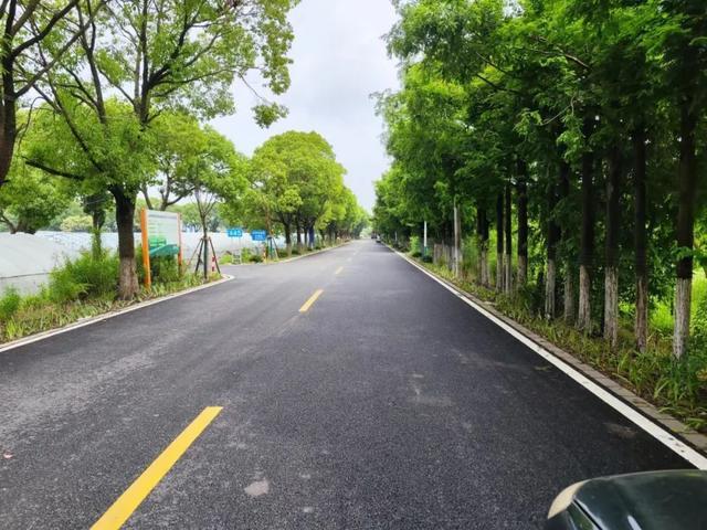 好消息！奉贤区兴团路等68条公路被命名为上海市“四好农村路”示范路、精品公路