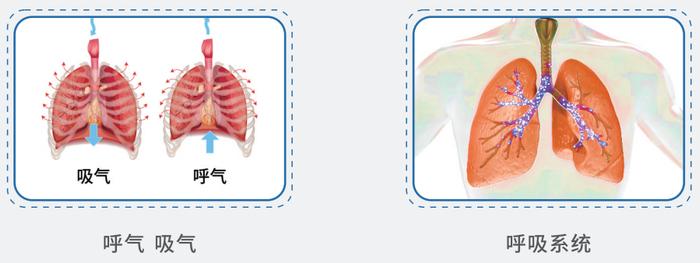 【康复之声】呼吸训练低频电治疗仪——为您的畅快呼吸保驾护航!