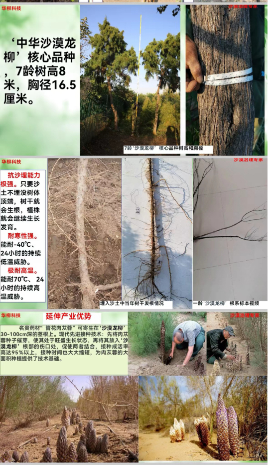 （来源：News快报）