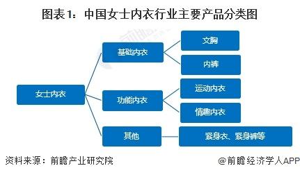 2024年中国女士内衣市场分析 竞争驱使行业赛道细分【组图】