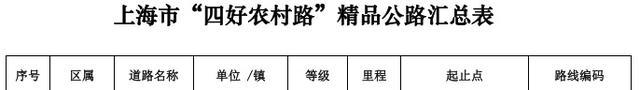 好消息！奉贤区兴团路等68条公路被命名为上海市“四好农村路”示范路、精品公路