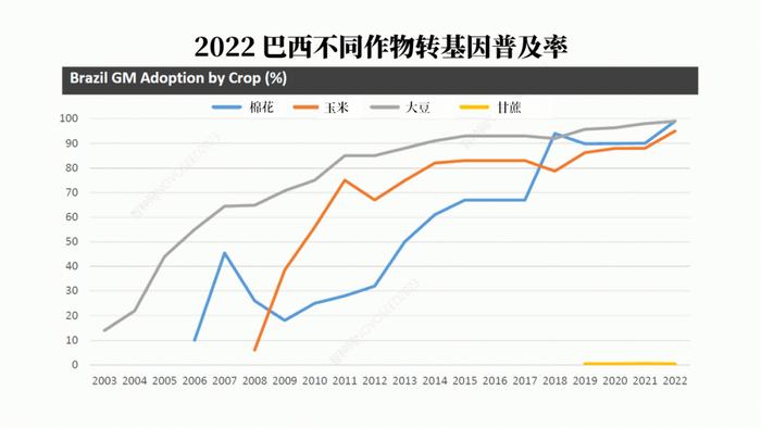 我国将有序扩大转基因大豆和玉米的应用范围