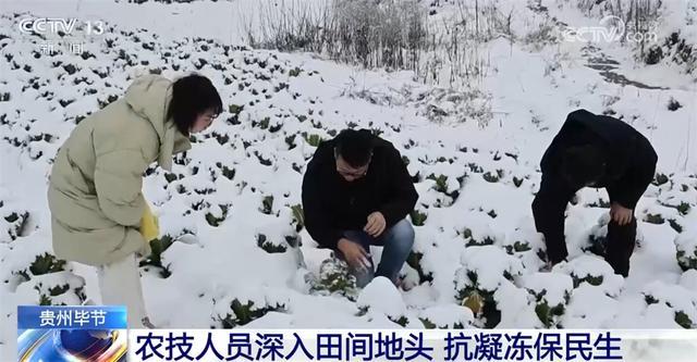 南方多地遭遇降温降雪天气 各地多举措应对保民生、暖民心