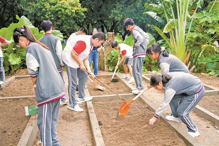 种了一学期的蔬菜大丰收啦 深圳这所学校学生寒假前收获一份特殊“成绩单”