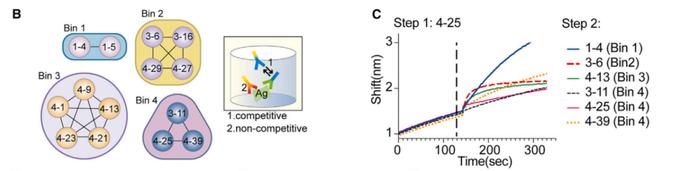 复旦大学生物医学研究院许杰团队报道Galectin-8通过结合LILRB4诱导肿瘤微环境中M-MDSC的作用