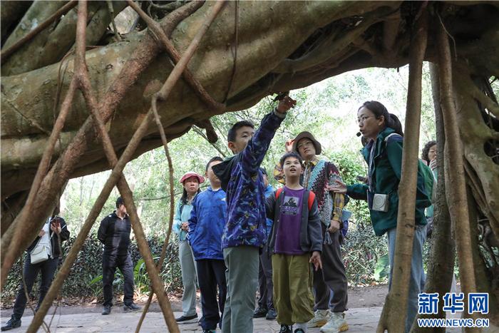 各地学生在云南西双版纳开启研学游“奇妙之旅”