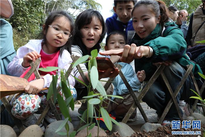 各地学生在云南西双版纳开启研学游“奇妙之旅”