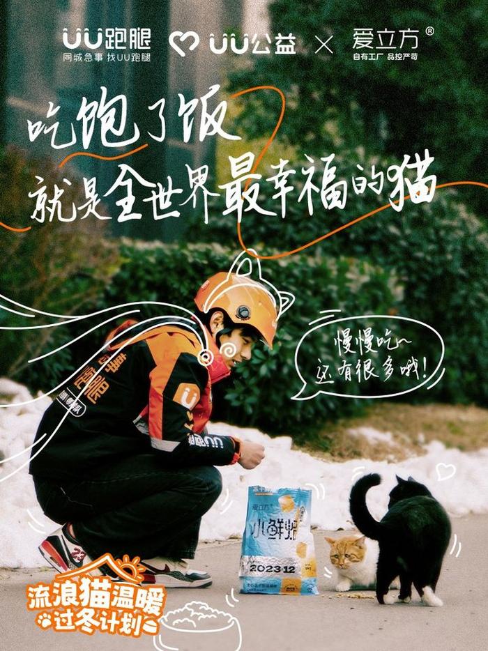 UU跑腿流浪猫温暖过冬计划：完成“旧保温箱”与“喵星人”的双向奔赴